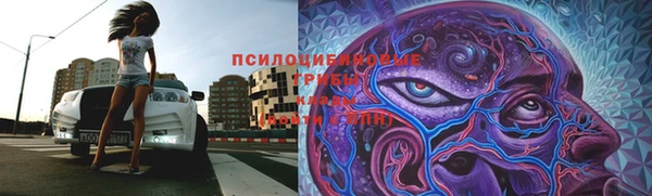 мяу мяу мука Волоколамск
