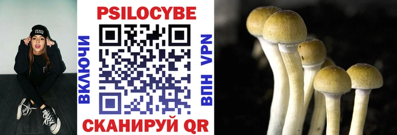 Псилоцибиновые грибы мицелий  Липки 